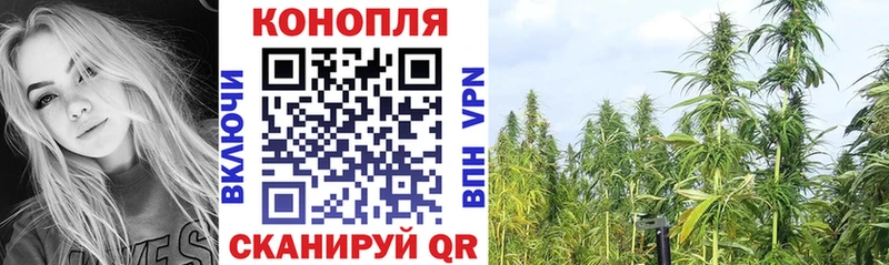 Бошки марихуана гибрид  где продают наркотики  Ржев 